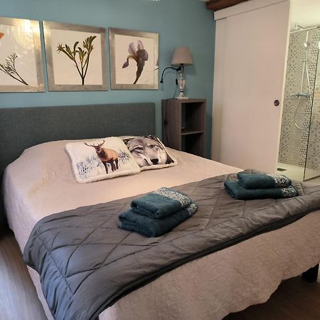 Appartements - 1 Mn Du Centre リボーヴィレ 部屋 写真